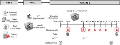 Effects of exercise modality combined with moderate hypoxia on blood glucose regulation in adults with overweight